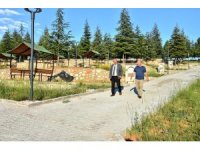 Doğanşehir Millet Bahçesi 2. etap çalışmaları hızlandı