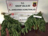 Sinop’ta uyuşturucu operasyonunda 5 kişi yakalandı