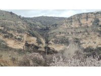 Tunceli’de bereketi simgeleyen Kişnikar şelalesi akmaya başladı