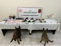 Kırklareli’nde durdurulan araçta uyuşturucu ve tabanca çıktı