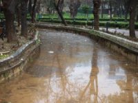 Tarihi Balıklıgöl'deki balıklara ne oldu?