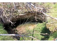 Antalya’nın göbeğinde 35 metre derinlikteki obrukta çok sayıda tatlı su canlısı tespit edildi