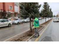 Ereğli’de bahar hazırlıkları devam ediyor