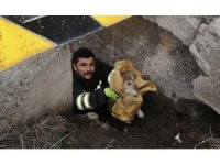 Köprü altında mahsur kalan yavru köpekler itfaiye ekiplerince kurtarıldı