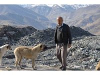 Hayırsever vatandaş sokak köpekleri için 30 kilometre yol kat ediyor