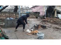 Depremden sonra sel vurdu ama o sokak kedilerini ihmal etmedi
