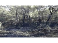 Akhisar’da orman yangını çıkaran 3 kişi yakalandı