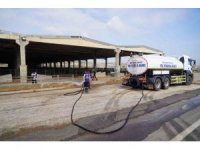 Şap hastalığına karşı canlı hayvan borsası dezenfekte edildi