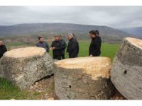 Depremde devrilen 2 bin 43 yıllık sütun Nisan ayında yeniden ayağa kalkacak