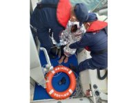 Midilli Adası’na yüzerek geçmek isteyen göçmen Sahil Güvenlik ekiplerince kurtarıldı