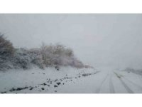 Ordu’nun yüksek kesimleri karla kaplandı