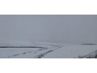 Mart ayında yağan kar çiftçiyi sevindirdi