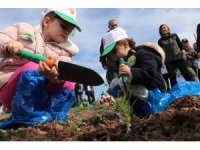 Deprem şehitleri anısına 3 bin 900 fidan toprakla buluştu