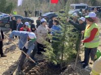 Bartın’da fidanlar, deprem şehitleri için toprakla buluşturuldu