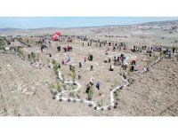 Fidanlar depremde hayatını kaybedenler anısına toprakla buluştu