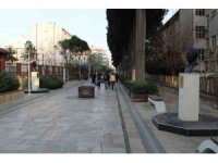 Bilim ve sanat dünyasına önemli katkılar sağlayan ünlü isimler bu sokakta yaşatılıyor