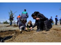 Deprem şehitleri anısına  fidanlar toprakla buluştu