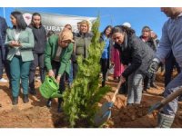 BŞEÜ Orman Haftasında fidan dikimi gerçekleştirdi