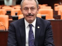 AK Partili Tin, yasal düzenlemenin ayrıntılarını paylaştı: “Tarım ve orman yaşam kaynağımız”