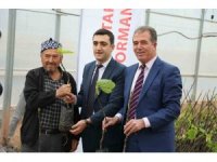 “Sarıcakaya’da İncir Yetişiyor” projesi