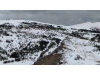 Aşkale bahar mevsiminde beyaza büründü