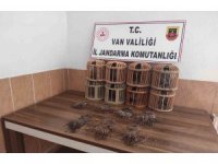 Van’da kafes avcılığı