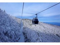 Teleferiğe 3 haftalık bakım molası