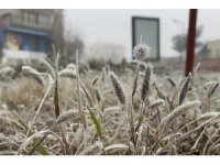 Meteorolojiden Diyarbakır için ‘zirai don’ uyarısı
