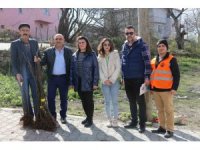 Atakum’da çiftçiye 1000 incir fidanı desteği
