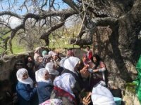 Diyarbakır’da ‘Murat Şenlikleri’ yapıldı