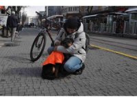 Kayıp köpeğe duyarlı vatandaş sahip çıktı