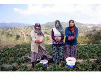 Başkan Aykurt: “Kırsalda üretim yapan vatandaşlarımızın sigorta primleri devletimiz tarafından karşılanmalıdır”