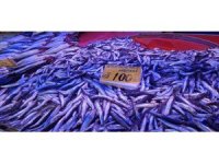 Ramazan ayının gelişi balık satışlarını arttırdı