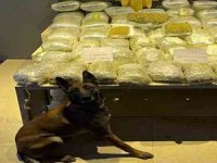 Yolcu otobüsünde 12 kilo 500 gram uyuşturucu ele geçirildi