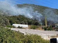 Antalya'nın Kaş ilçesinde makilik alanda yangın çıktı