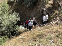 Bitlis'te kayalıklardan düşen kişi hayatını kaybetti