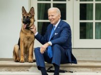 Biden'ın köpeği "Commander" bir Gizli Servis personelini daha ısırdı