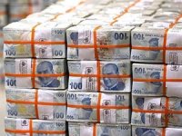 Hazine 14,1 milyar lira borçlandı
