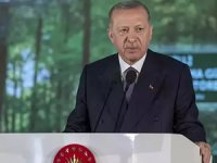 Cumhurbaşkanı Erdoğan'dan Milli Ağaçlandırma Günü paylaşımı