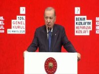Erdoğan: “Kaprislerle vakit kaybedemeyiz”