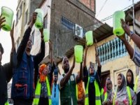 Made in England: GDO'lu Sivrisinekler…!