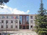 Valilik aracında escort: Soruşturma başlatıldı!