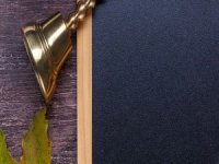 18 milyon öğrenci yollara düştü!