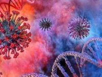 Kovid vakaları artışa geçti