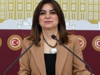 DEM Grubu'nda ‘Abdullah Öcalan’ sloganı!