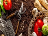 ABD'de alarm: Radyoaktif gıda!