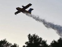 Tarım ve Orman Bakanlığı: 1 pilot şehit oldu