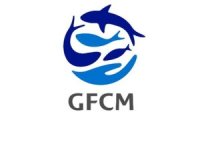 Türkiye’ye yeni görev: ‘GFCM’ Başkanlığı!