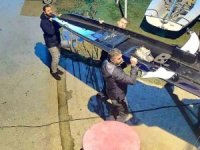 Derince’de kaçak deniz küreği operasyonu