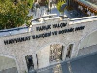 33 yıllık serüven bitti: Darıca Hayvanat Bahçesi!